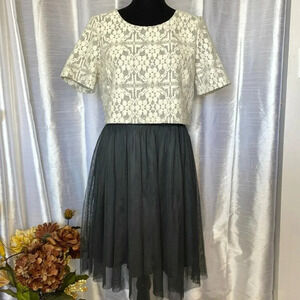 Weston Anthropologie NWT Women’s Medium Lace Tulle Skirt Babydoll Dancer Dress